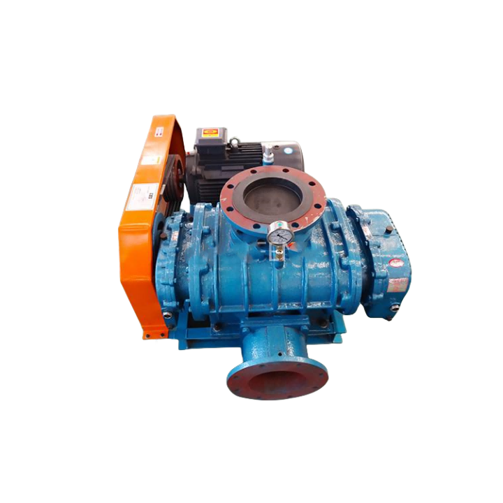 Bakit pumili ng isang Roots vacuum pump para sa iyong pang -industriya na aplikasyon?