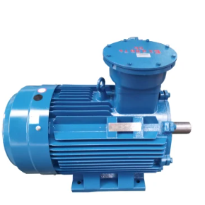 Squirrel Cage Explosion Proof AC Motor Induction: Ano ang Nagiging Tamang Pagpipilian para sa Mapanganib na Kapaligiran