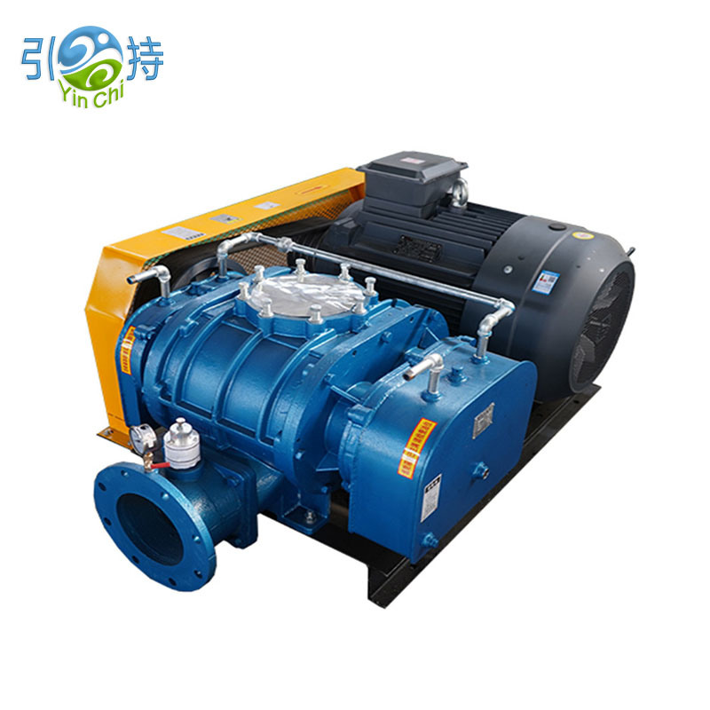 Paano Nao-optimize ng Negative Pressure Roots Vacuum Pump Blower ang Full-Cycle Food Vacuum Packaging Workflows?