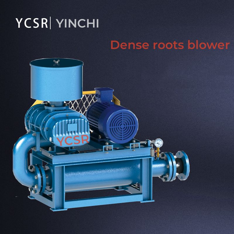 Siksik na Uri ng Roots Vacuum Pump