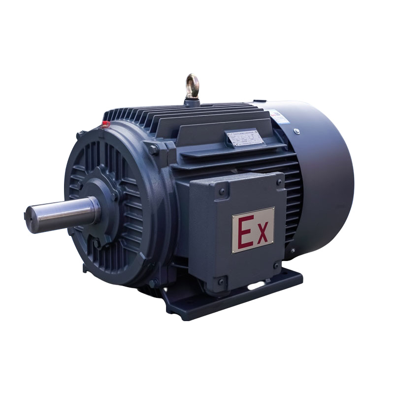 Explosion Proof Electrical Motor para sa Minahan ng Coal