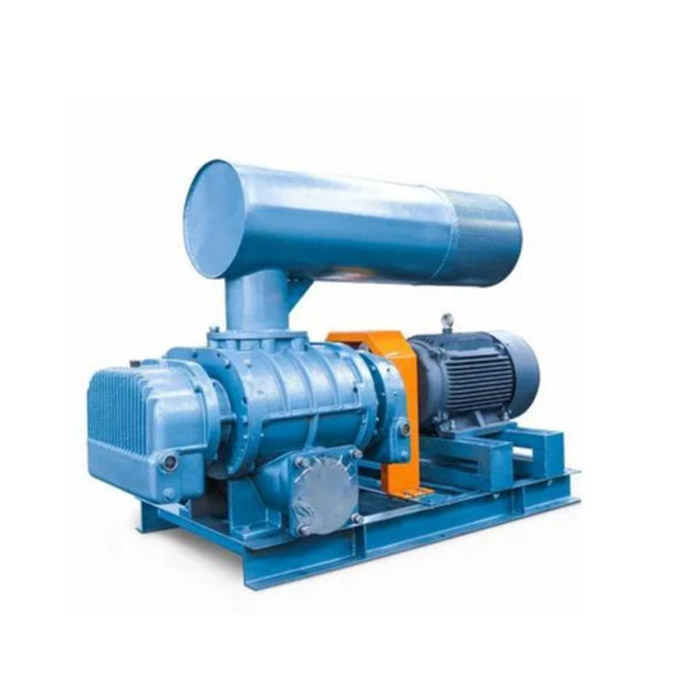 Pangmatagalang Direct Coupling Roots Blower