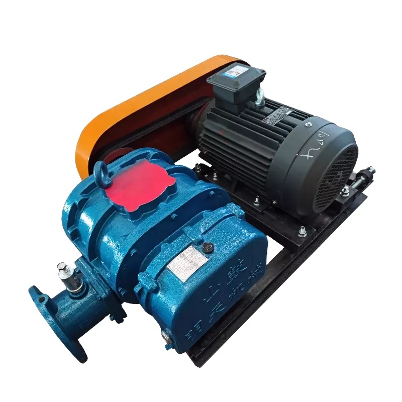 Mababang Ingay Constant Speed ​​Tatlong Lobe Rotor Roots Vacuum Pump