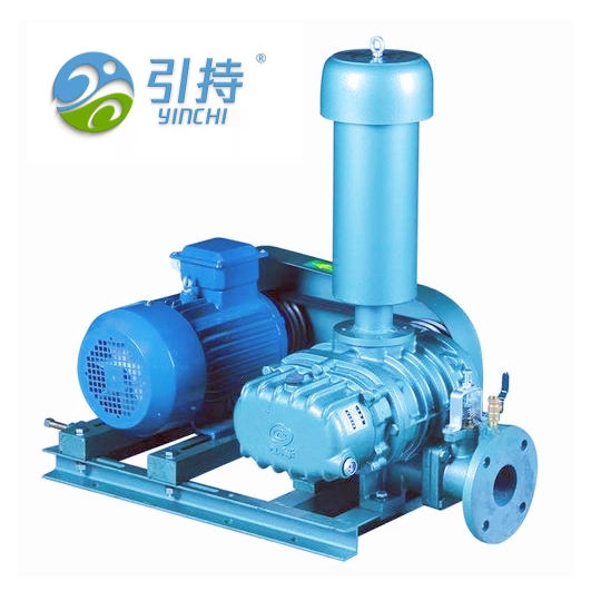 Negative Pressure Roots Vacuum Pump