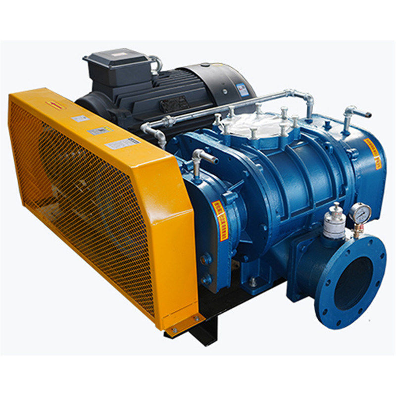 Pneumatic Conveying Roots Blower Vacuum Pump