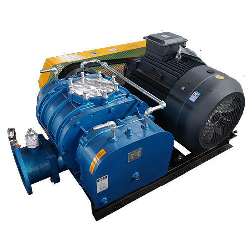 Three-Blade Intensive Roots Blower Vacuum Pump